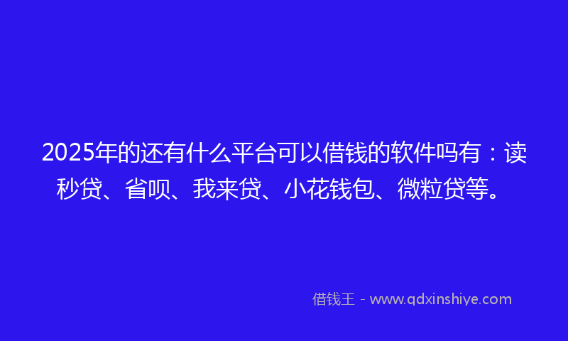 2025年的还有什么平台可以借钱的软件吗有：读秒贷、省呗、我来贷、小花钱包、微粒贷等。