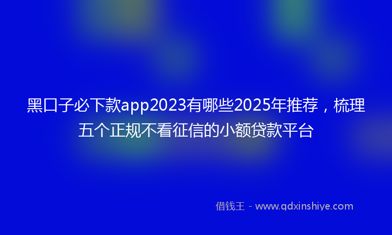 黑口子必下款app2023有哪些2025年推荐，梳理五个正规不看征信的小额贷款平台