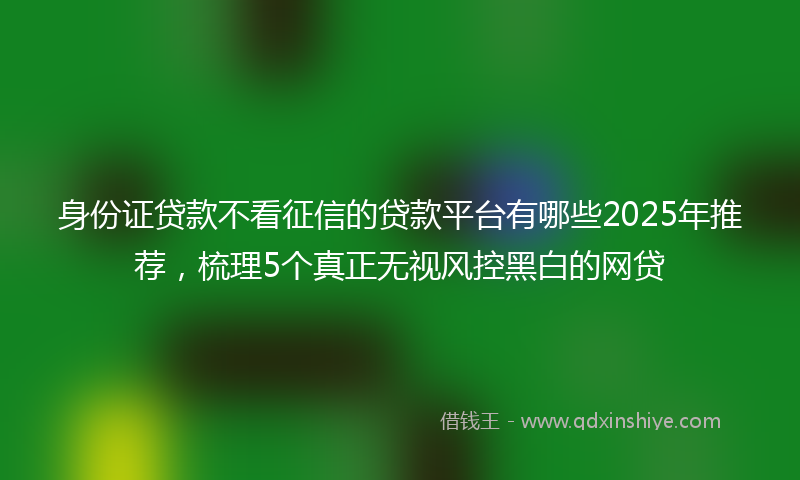 身份证贷款不看征信的贷款平台有哪些2025年推荐，梳理5个真正无视风控黑白的网贷