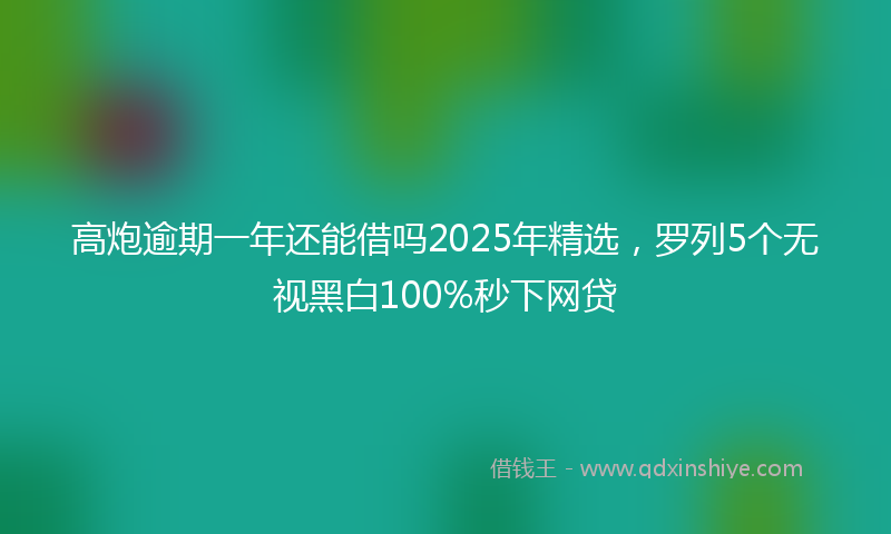 高炮逾期一年还能借吗2025年精选，罗列5个无视黑白100%秒下网贷