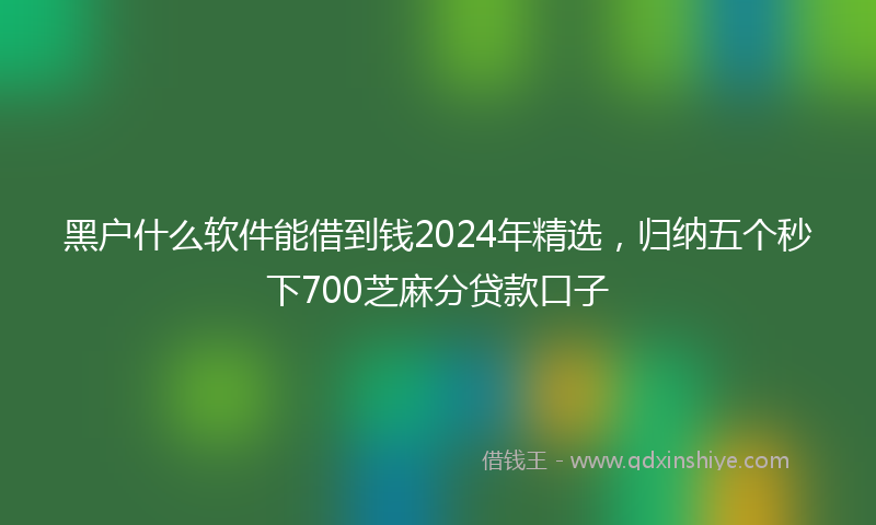 黑户什么软件能借到钱2024年精选，归纳五个秒下700芝麻分贷款口子