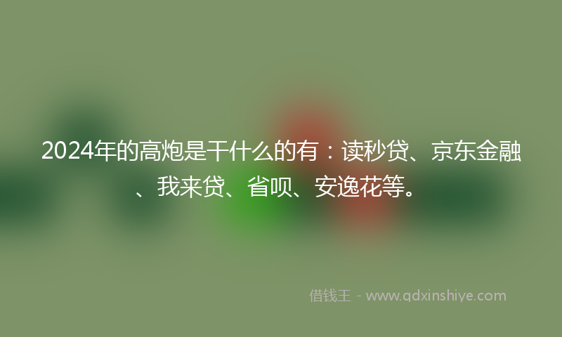 2024年的高炮是干什么的有：读秒贷、京东金融、我来贷、省呗、安逸花等。