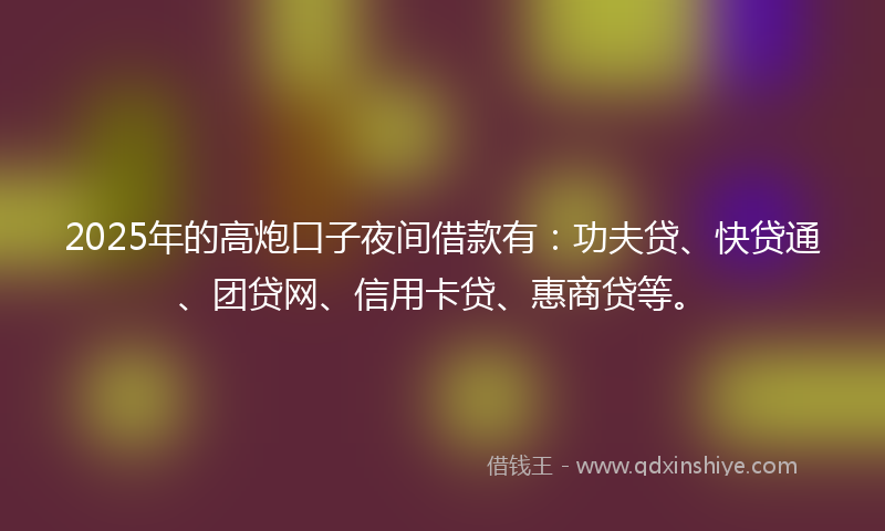 2025年的高炮口子夜间借款有：功夫贷、快贷通、团贷网、信用卡贷、惠商贷等。