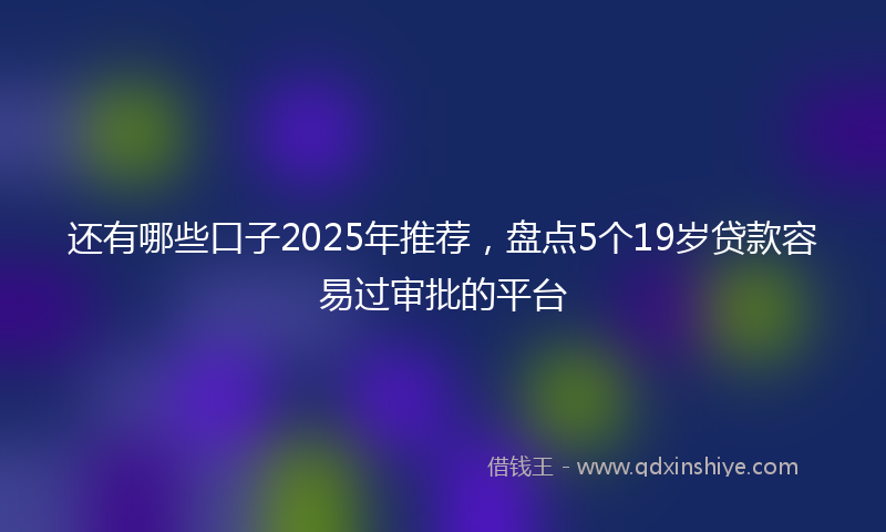 还有哪些口子2025年推荐，盘点5个19岁贷款容易过审批的平台