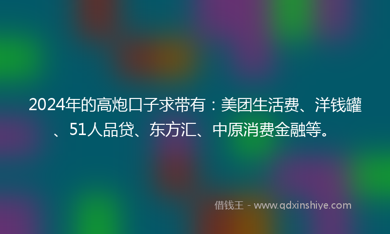 2024年的高炮口子求带有：美团生活费、洋钱罐、51人品贷、东方汇、中原消费金融等。