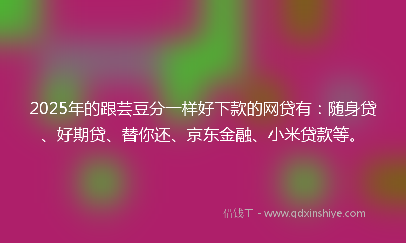 2025年的跟芸豆分一样好下款的网贷有：随身贷、好期贷、替你还、京东金融、小米贷款等。