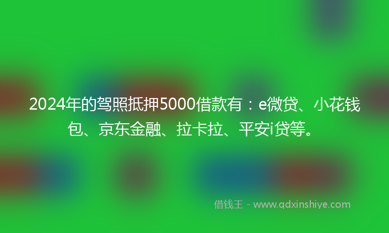 2024年的驾照抵押5000借款有：e微贷、小花钱包、京东金融、拉卡拉、平安i贷等。