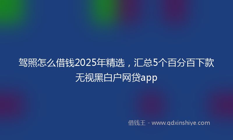 驾照怎么借钱2025年精选，汇总5个百分百下款无视黑白户网贷app