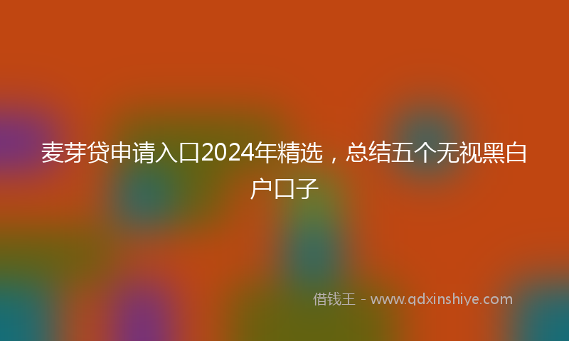 麦芽贷申请入口2024年精选，总结五个无视黑白户口子