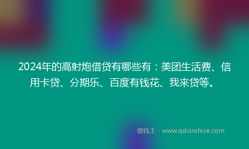 2024年的高射炮借贷有哪些有：美团生活费、信用卡贷、分期乐、百度有钱花、我来贷等。