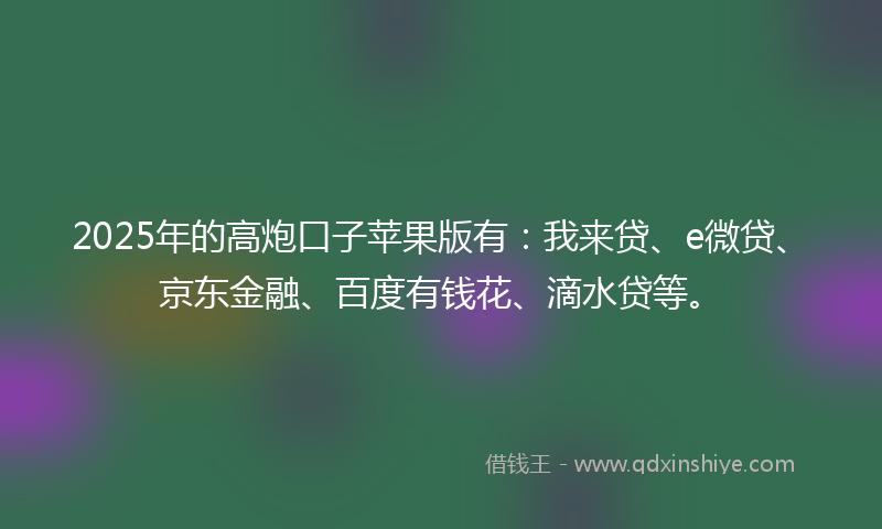 2025年的高炮口子苹果版有：我来贷、e微贷、京东金融、百度有钱花、滴水贷等。