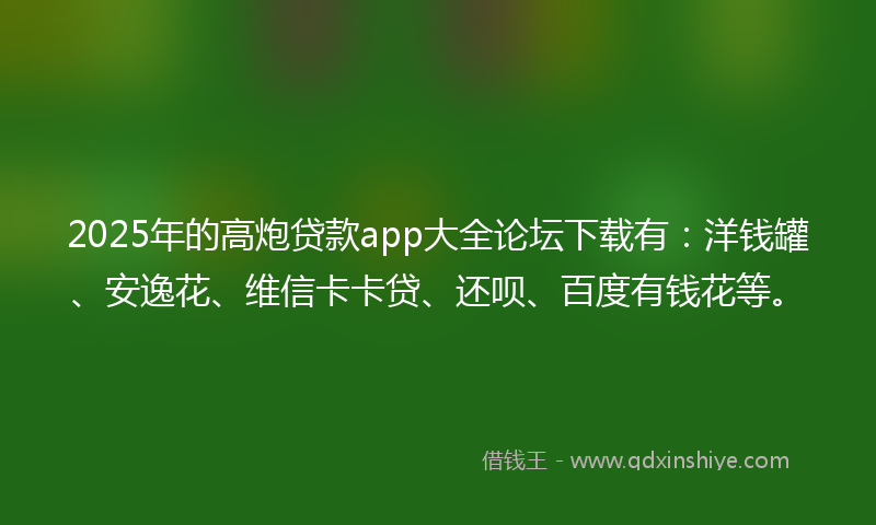 2025年的高炮贷款app大全论坛下载有：洋钱罐、安逸花、维信卡卡贷、还呗、百度有钱花等。