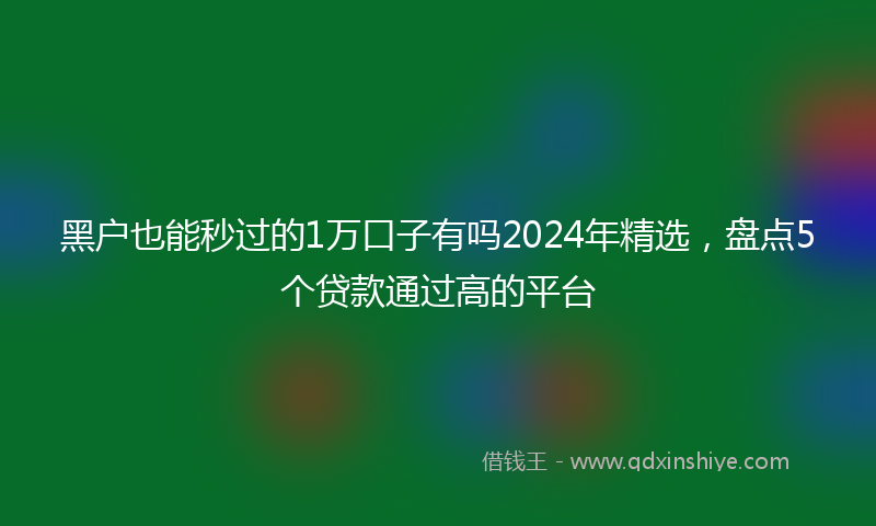 黑户也能秒过的1万口子有吗2024年精选，盘点5个贷款通过高的平台