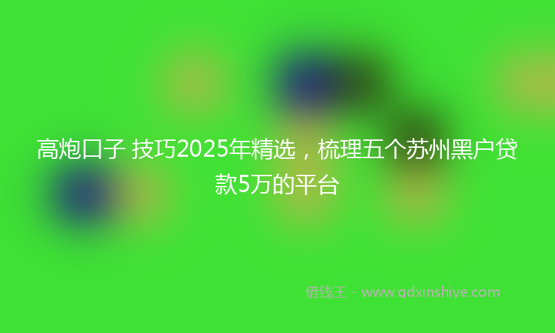 高炮口子 技巧2025年精选，梳理五个苏州黑户贷款5万的平台