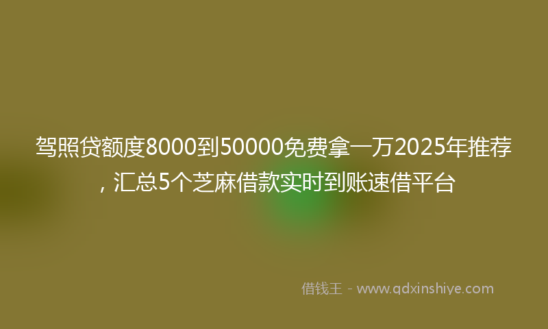 驾照贷额度8000到50000免费拿一万2025年推荐，汇总5个芝麻借款实时到账速借平台