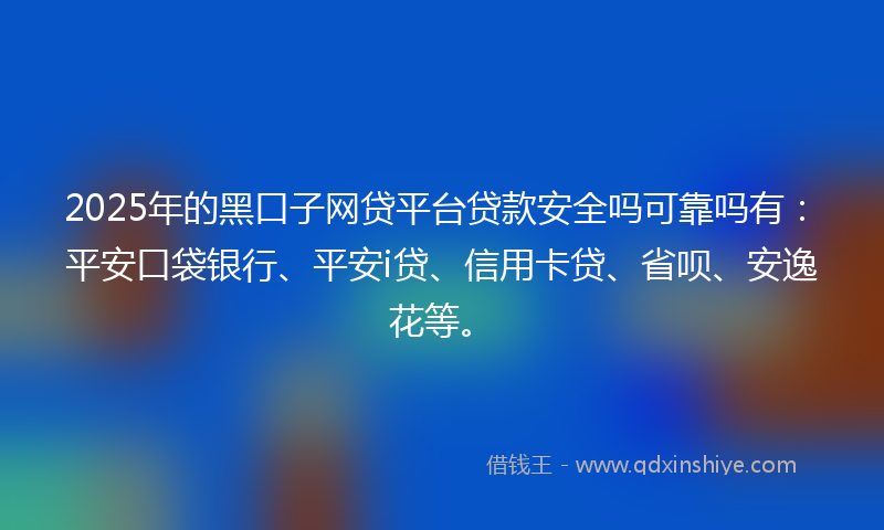 2025年的黑口子网贷平台贷款安全吗可靠吗有：平安口袋银行、平安i贷、信用卡贷、省呗、安逸花等。