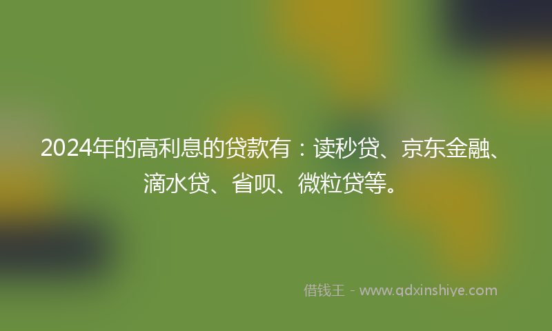 2024年的高利息的贷款有：读秒贷、京东金融、滴水贷、省呗、微粒贷等。