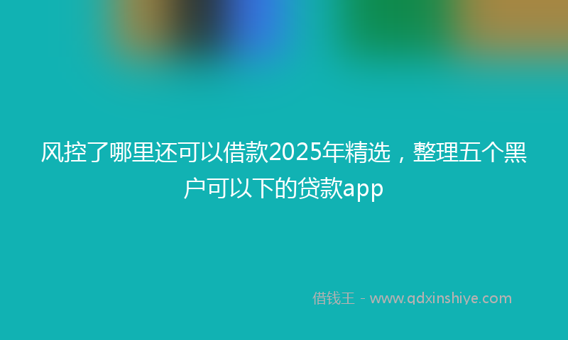 风控了哪里还可以借款2025年精选，整理五个黑户可以下的贷款app