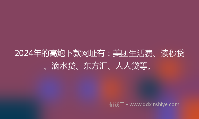 2024年的高炮下款网址有：美团生活费、读秒贷、滴水贷、东方汇、人人贷等。