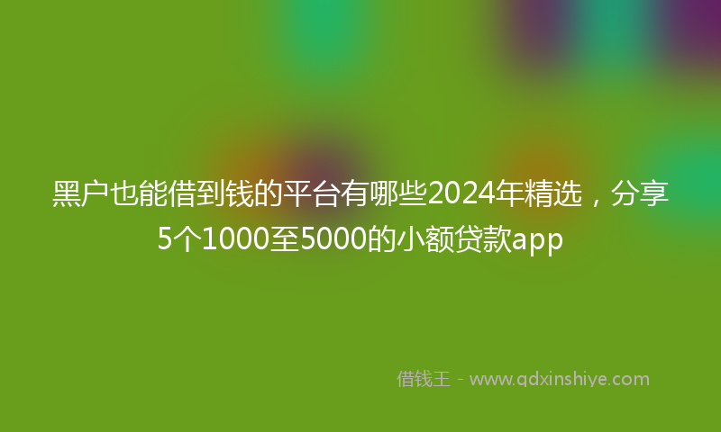 黑户也能借到钱的平台有哪些2024年精选，分享5个1000至5000的小额贷款app