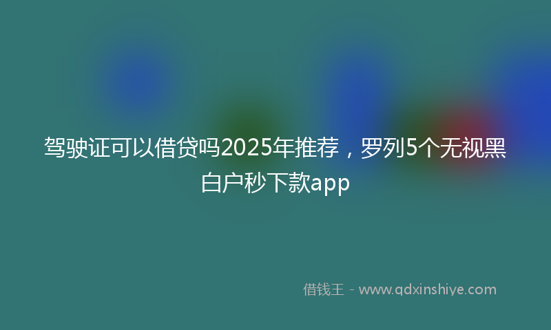 驾驶证可以借贷吗2025年推荐，罗列5个无视黑白户秒下款app
