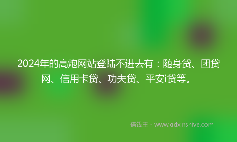 2024年的高炮网站登陆不进去有：随身贷、团贷网、信用卡贷、功夫贷、平安i贷等。
