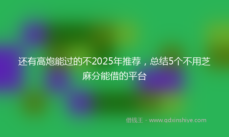 还有高炮能过的不2025年推荐，总结5个不用芝麻分能借的平台