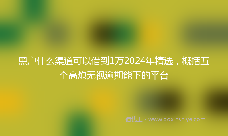 黑户什么渠道可以借到1万2024年精选，概括五个高炮无视逾期能下的平台
