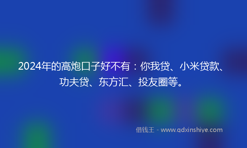 2024年的高炮口子好不有：你我贷、小米贷款、功夫贷、东方汇、投友圈等。