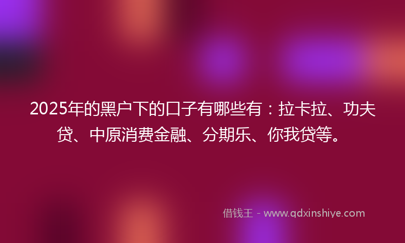 2025年的黑户下的口子有哪些有：拉卡拉、功夫贷、中原消费金融、分期乐、你我贷等。