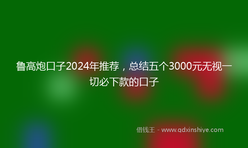 鲁高炮口子2024年推荐，总结五个3000元无视一切必下款的口子