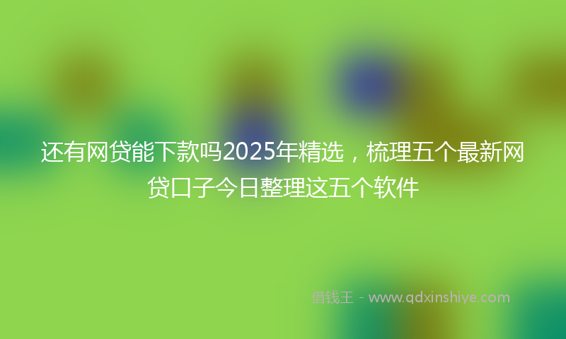 还有网贷能下款吗2025年精选，梳理五个最新网贷口子今日整理这五个软件