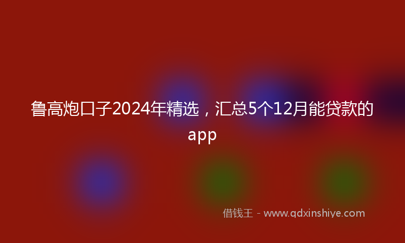 鲁高炮口子2024年精选，汇总5个12月能贷款的app