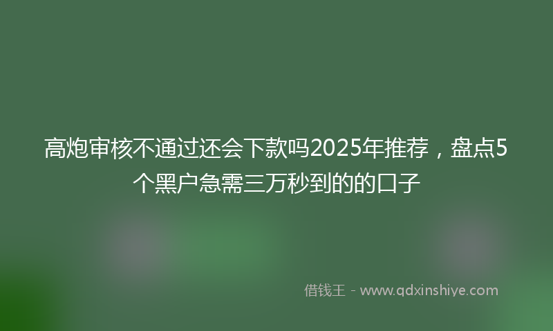高炮审核不通过还会下款吗2025年推荐，盘点5个黑户急需三万秒到的的口子