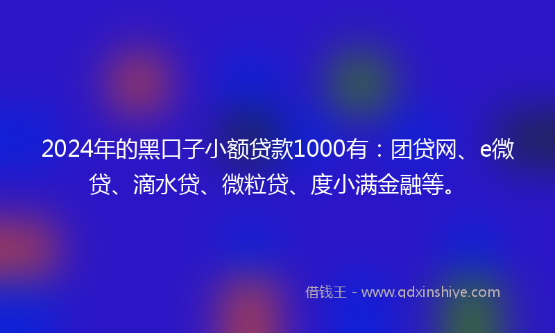 2024年的黑口子小额贷款1000有：团贷网、e微贷、滴水贷、微粒贷、度小满金融等。
