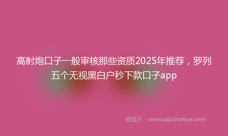 高射炮口子一般审核那些资质2025年推荐，罗列五个无视黑白户秒下款口子app
