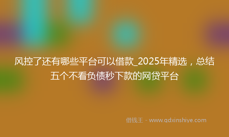 风控了还有哪些平台可以借款_2025年精选，总结五个不看负债秒下款的网贷平台