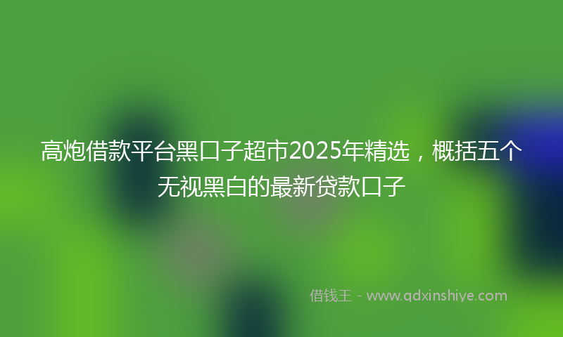 高炮借款平台黑口子超市2025年精选，概括五个无视黑白的最新贷款口子