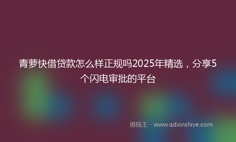 青萝快借贷款怎么样正规吗2025年精选，分享5个闪电审批的平台