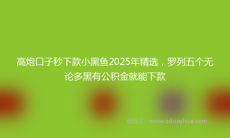 高炮口子秒下款小黑鱼2025年精选，罗列五个无论多黑有公积金就能下款