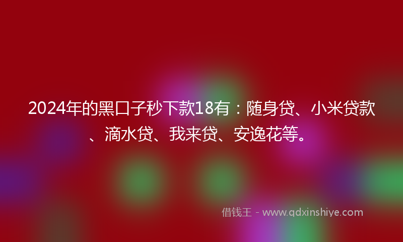 2024年的黑口子秒下款18有：随身贷、小米贷款、滴水贷、我来贷、安逸花等。