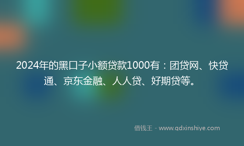 2024年的黑口子小额贷款1000有：团贷网、快贷通、京东金融、人人贷、好期贷等。