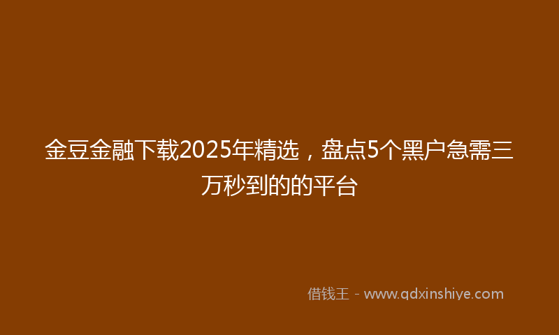 金豆金融下载2025年精选，盘点5个黑户急需三万秒到的的平台