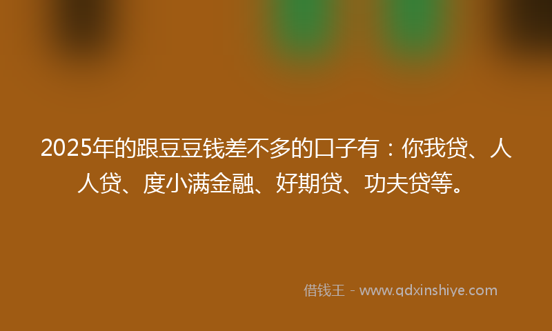 2025年的跟豆豆钱差不多的口子有：你我贷、人人贷、度小满金融、好期贷、功夫贷等。