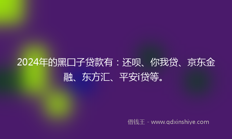 2024年的黑囗子贷款有：还呗、你我贷、京东金融、东方汇、平安i贷等。