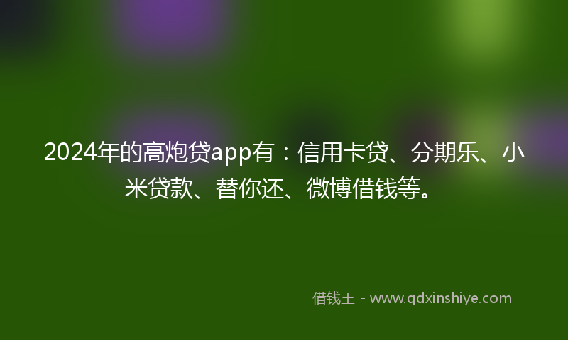 2024年的高炮贷app有：信用卡贷、分期乐、小米贷款、替你还、微博借钱等。