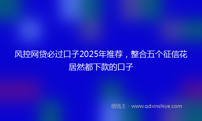 风控网贷必过口子2025年推荐，整合五个征信花居然都下款的口子