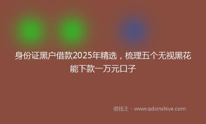 身份证黑户借款2025年精选，梳理五个无视黑花能下款一万元口子