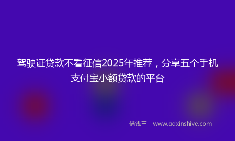 驾驶证贷款不看征信2025年推荐，分享五个手机支付宝小额贷款的平台