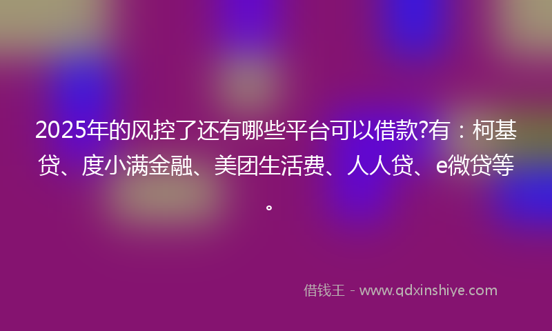 2025年的风控了还有哪些平台可以借款?有：柯基贷、度小满金融、美团生活费、人人贷、e微贷等。